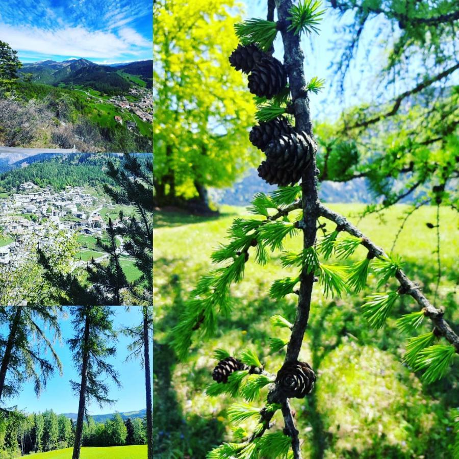 Hotel Trudnerhof Im Naturpark Trudnerhorn ترودينا المظهر الخارجي الصورة
