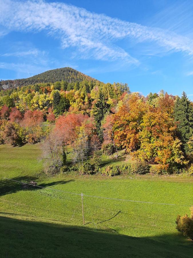Hotel Trudnerhof Im Naturpark Trudnerhorn ترودينا المظهر الخارجي الصورة