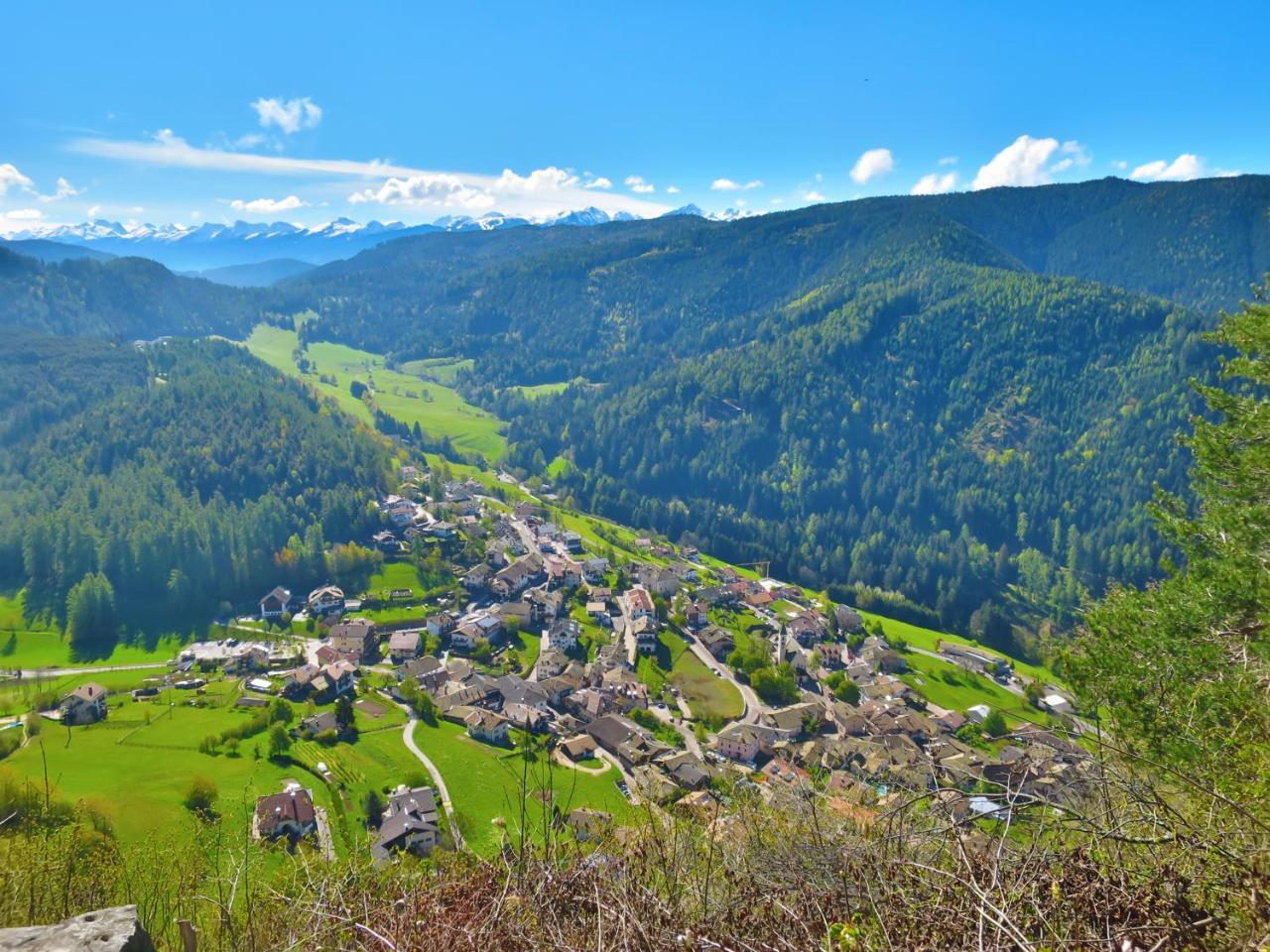 Hotel Trudnerhof Im Naturpark Trudnerhorn ترودينا المظهر الخارجي الصورة